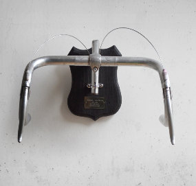 Photo: Trophy bike handlebar.